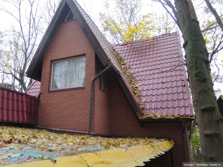 Винтажная немочка в Светлогорске