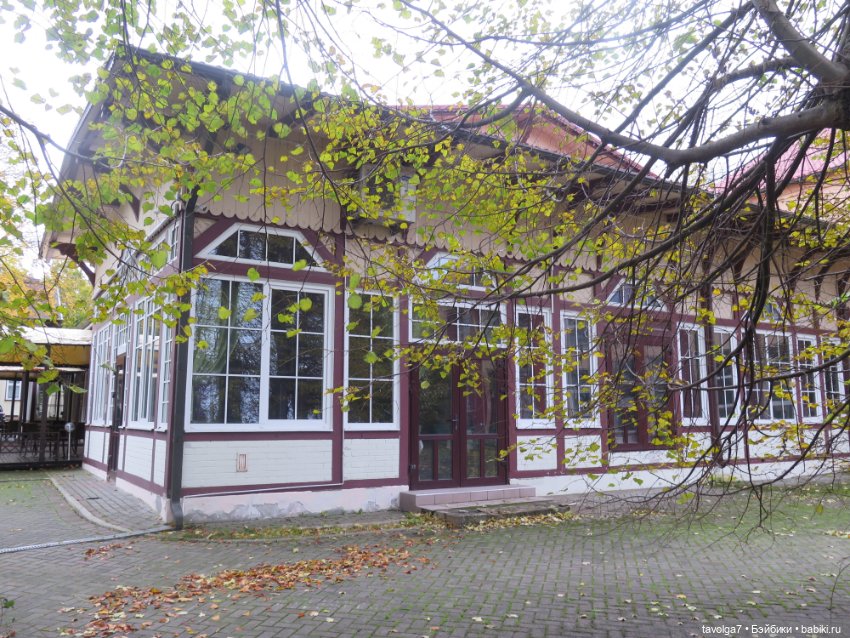 Винтажная немочка в Светлогорске (фото 3)