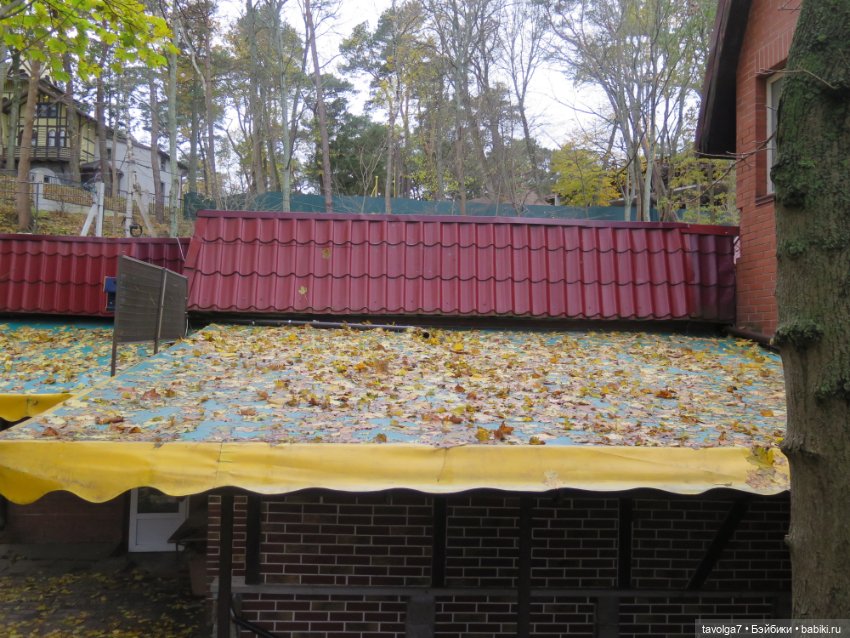 Винтажная немочка в Светлогорске