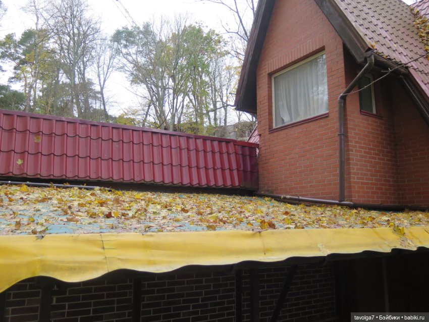 Винтажная немочка в Светлогорске