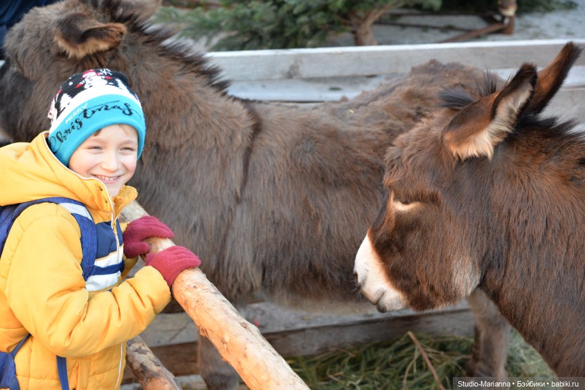 С наступающим Новым Годом и Рождеством от куколки Руби Ред (фото 4)