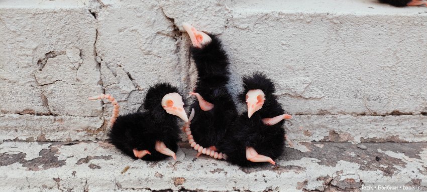 Распаковка посылки с Авторской ИГРУШКОЙ (фото 6)