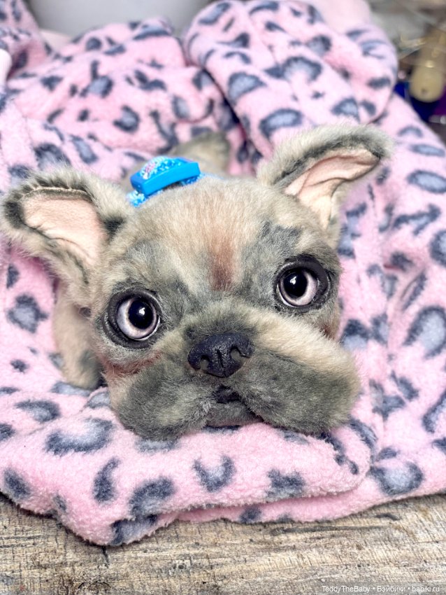 Рокси 🐶 — Реалистичные игрушки и звери (Натюр): собаки (фото 4)