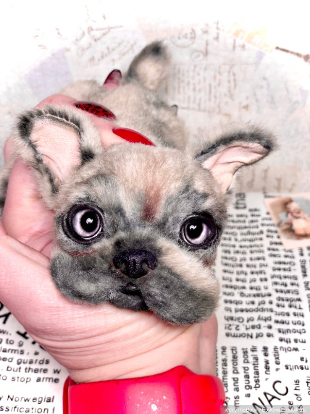 Рокси 🐶 — Реалистичные игрушки и звери (Натюр): собаки