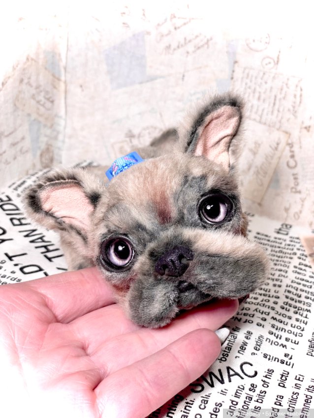 Рокси 🐶 — Реалистичные игрушки и звери (Натюр): собаки (фото 7)