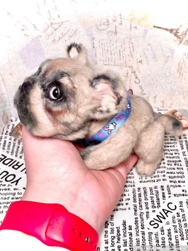 Рокси 🐶 — Реалистичные игрушки и звери (Натюр): собаки