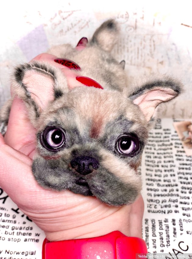 Рокси 🐶 — Реалистичные игрушки и звери (Натюр): собаки