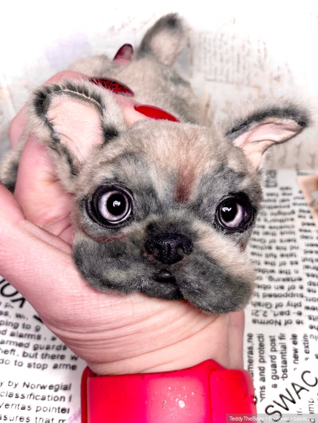 Рокси 🐶 — Реалистичные игрушки и звери (Натюр): собаки