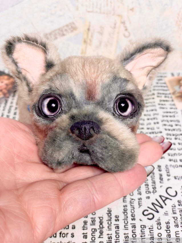 Рокси 🐶 — Реалистичные игрушки и звери (Натюр): собаки