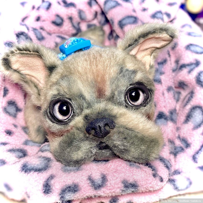 Рокси 🐶 — Реалистичные игрушки и звери (Натюр): собаки (фото 2)