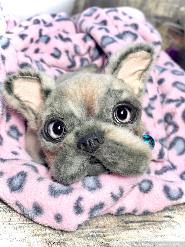 Рокси 🐶 — Реалистичные игрушки и звери (Натюр): собаки (фото 3)