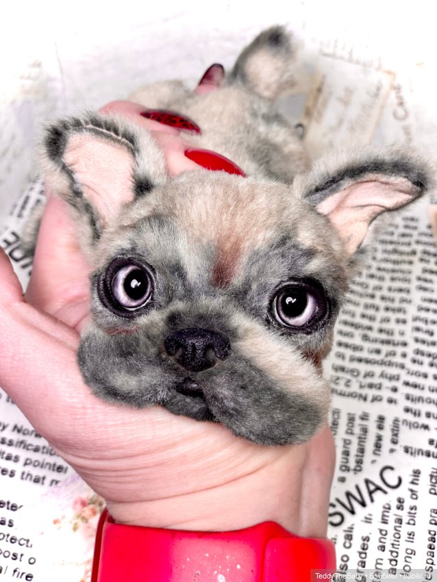 Рокси 🐶 — Реалистичные игрушки и звери (Натюр): собаки