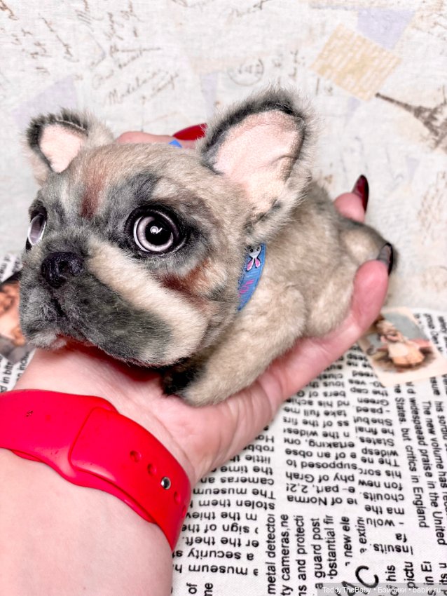 Рокси 🐶 — Реалистичные игрушки и звери (Натюр): собаки