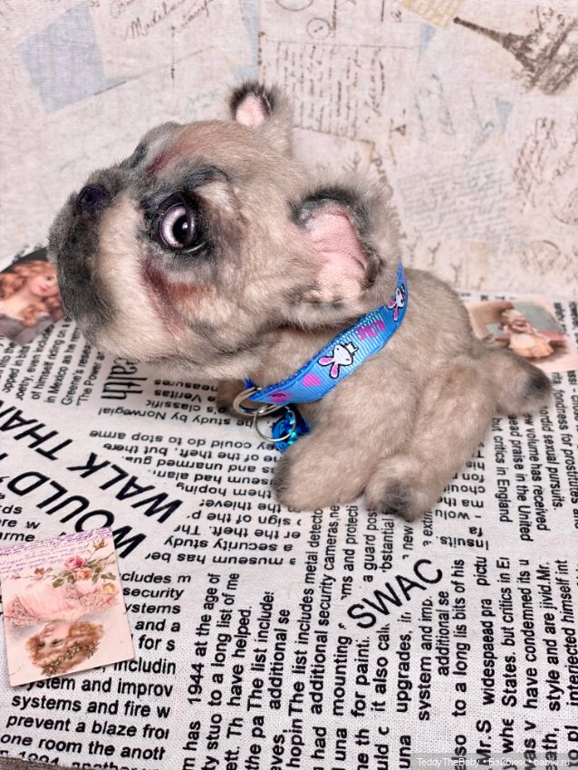 Рокси 🐶 — Реалистичные игрушки и звери (Натюр): собаки