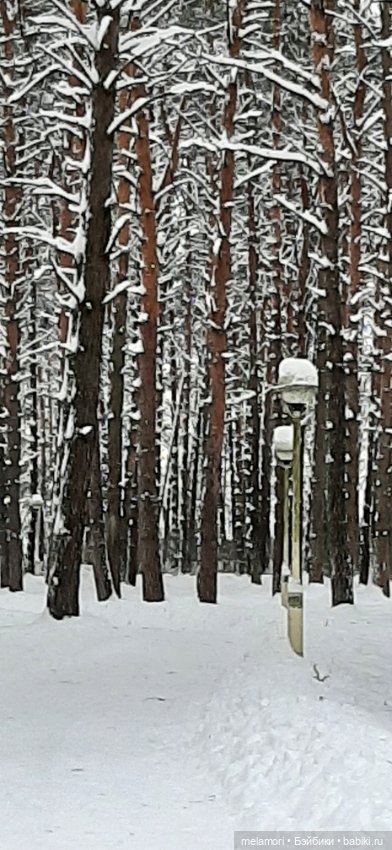 Пойдём смотреть елку — Куклы Dart dolls (Анна Шиткина): российские BJD (БЖД)