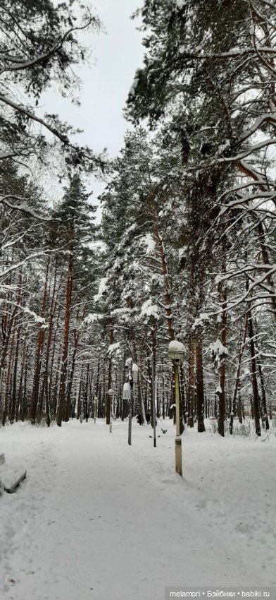 Пойдём смотреть елку — Куклы Dart dolls (Анна Шиткина): российские BJD (БЖД) (фото 2)