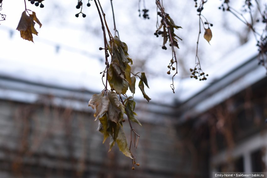 Крысюк на Хохловке — Домашние фото авторских игрушек: Тедди