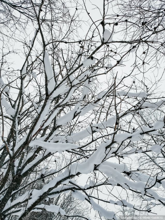 Зима в сердце — Коллекционные экшн (фото 6)