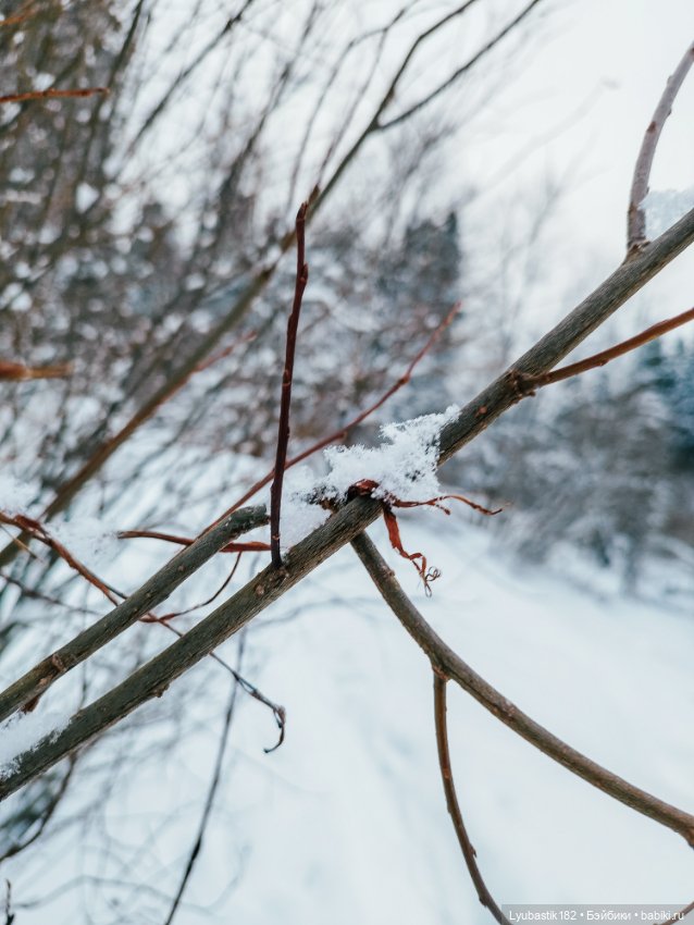 Зима в сердце — Коллекционные экшн (фото 8)
