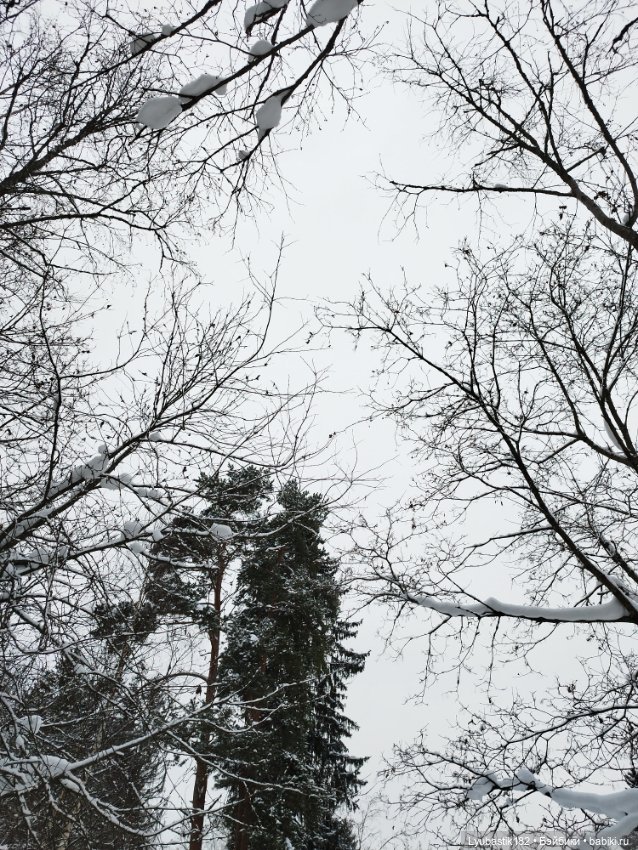 Зима в сердце — Коллекционные экшн