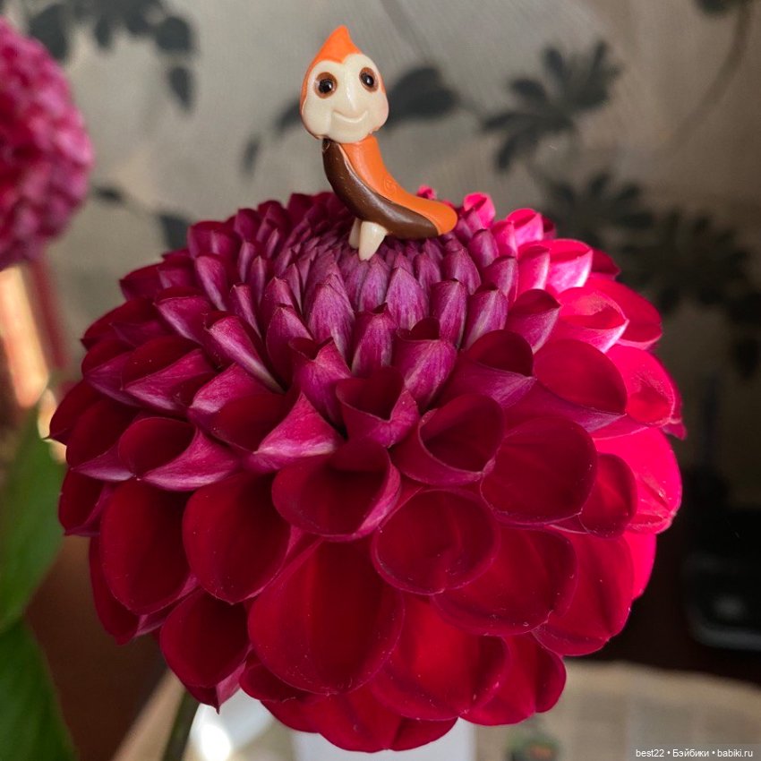 Букашка Noi — Фигурки Studio (фото 10)