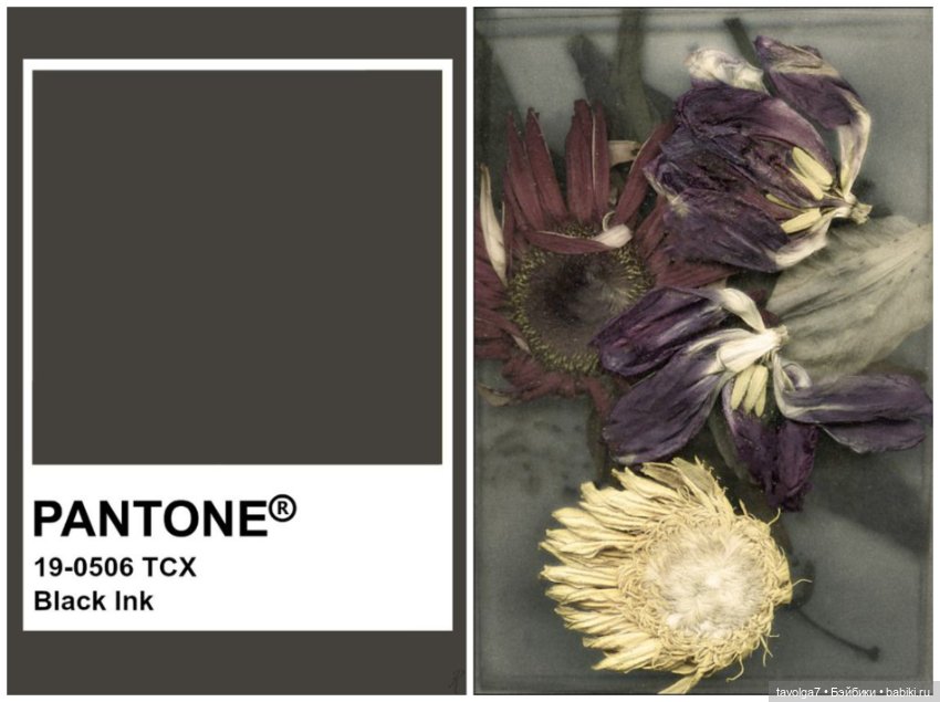 Ноябрьский чёрный — Сочетание цветов: палитры для одежды и интерьера