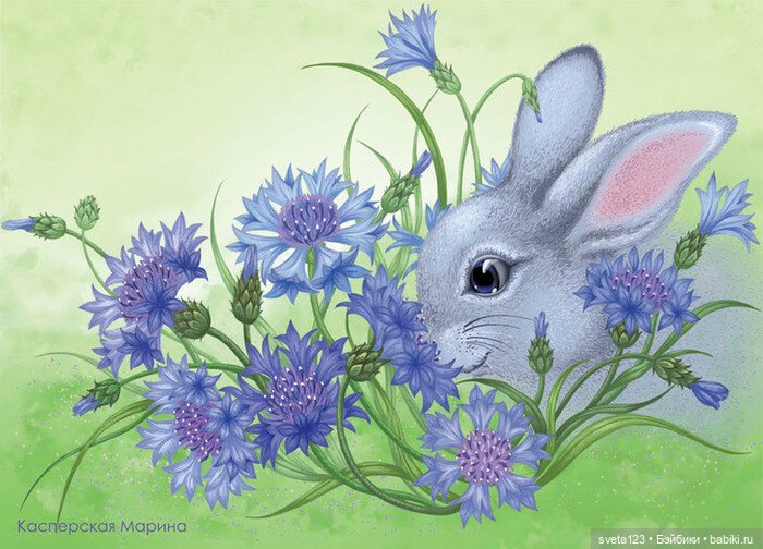 Иллюстрации Марины Касперской