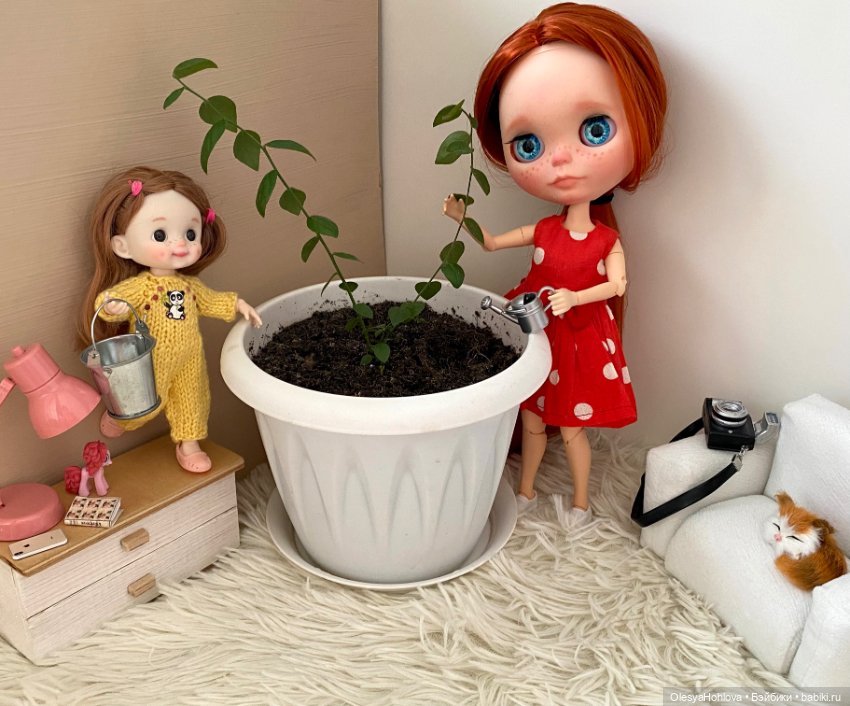 Голубика — Красивая природа и цветы: фото пейзажей (фото 2)