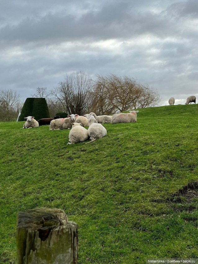 Музыкальная История 76 — Туризм и путешествия: фотоотчеты из поездок