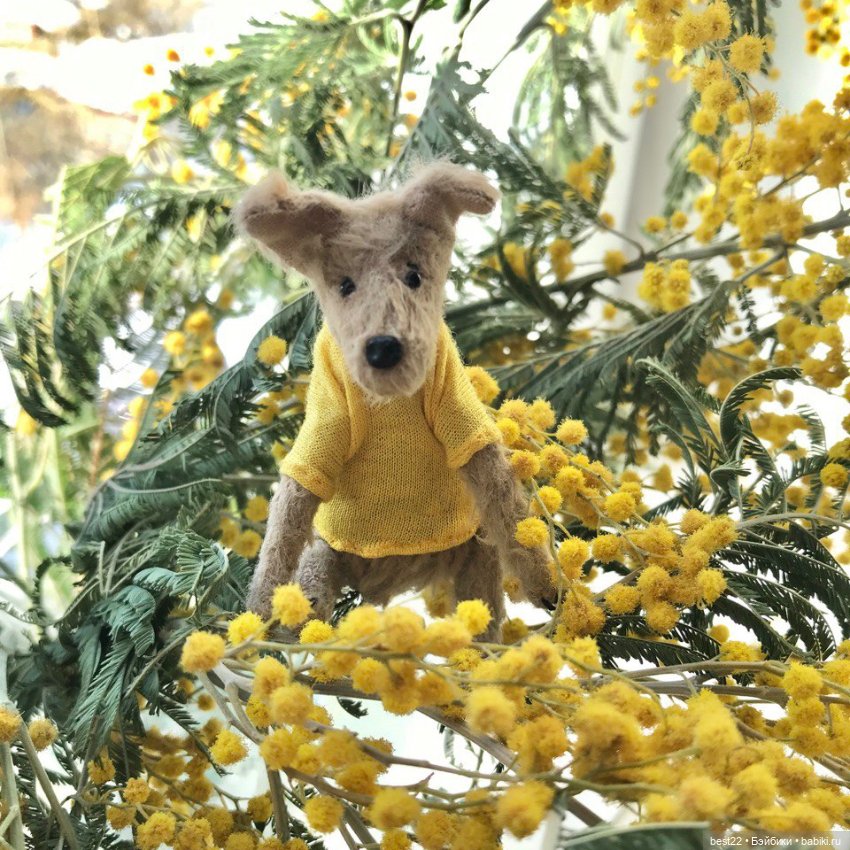 🐕 Гуччи — Домашние фото авторских игрушек: Тедди