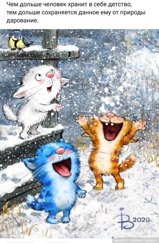 Коты Рины Зенюк встречают Новый Год (фото 2)