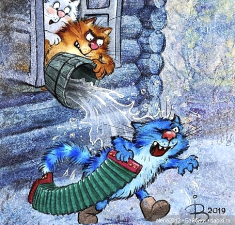 Коты Рины Зенюк встречают Новый Год