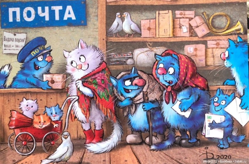 Коты Рины Зенюк встречают Новый Год