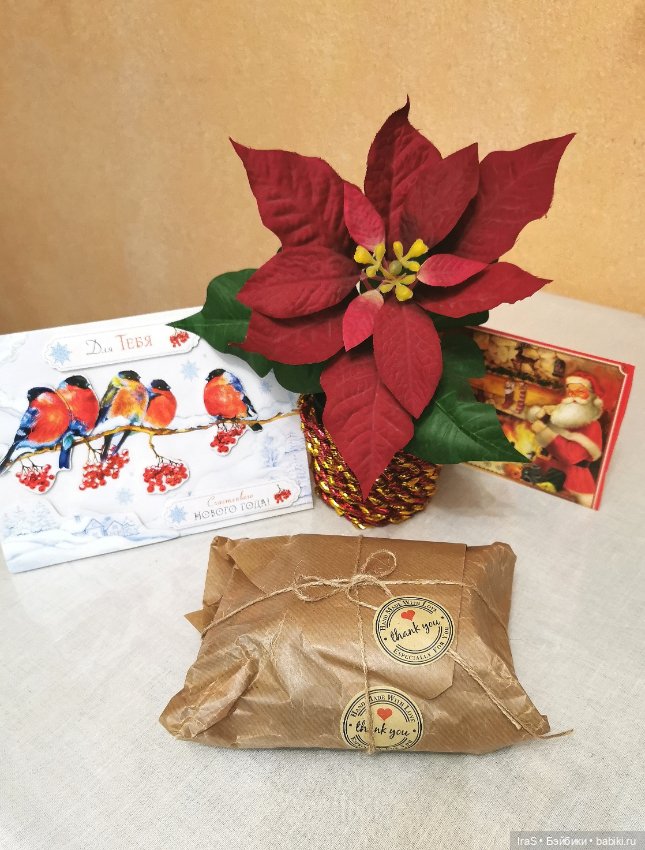 Домашние фото авторских игрушек: Тедди