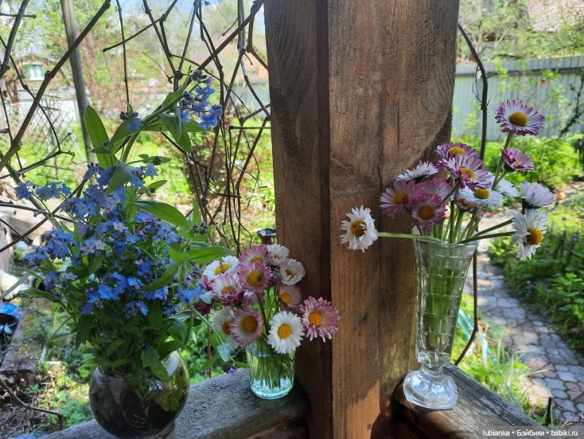 Назад, в июнь 🌸💮🌞 — Винтажные куклы ГДР (Немки): Бигги