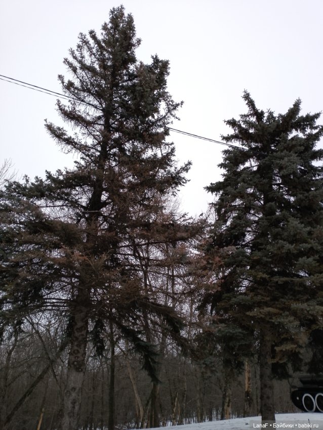 Поздравления с НГ от Мелиссы (куколка Антонио Хуан) (фото 3)