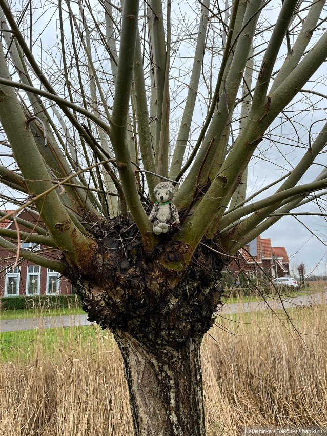 :Музыкальная История 78 — Туризм и путешествия: фотоотчеты из поездок