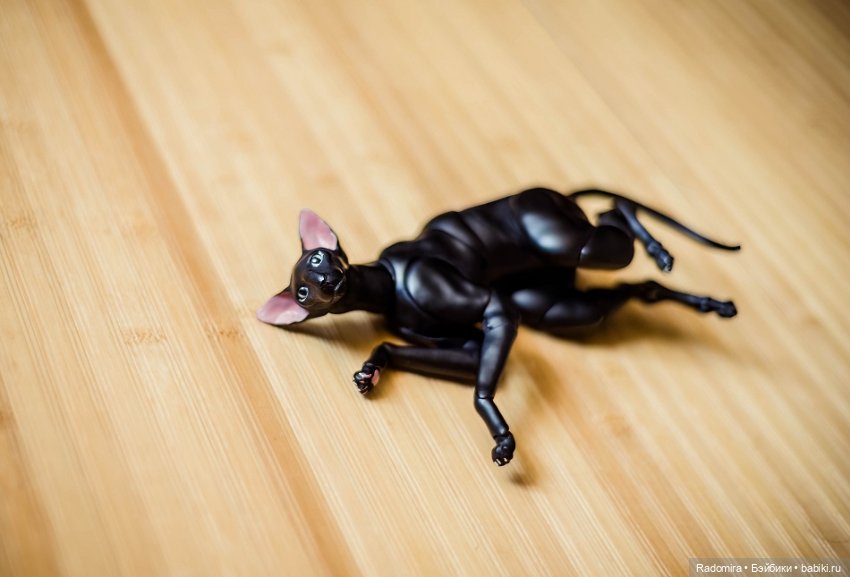 Тьмяу — Авторские куклы BJD (БЖД) у нас дома: фото (фото 2)