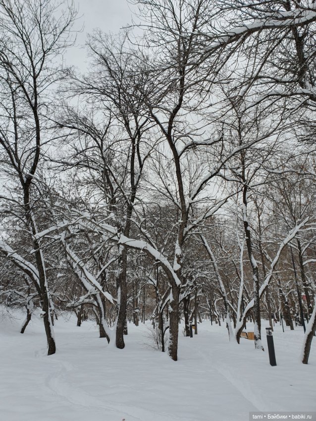 Снегогоры в Екатеринбурге (продолжение)