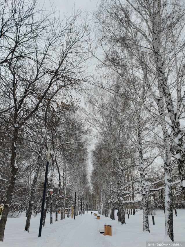 Снегогоры в Екатеринбурге (продолжение)