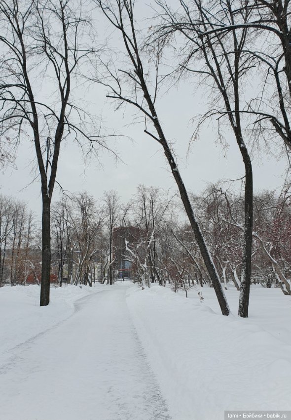 Снегогоры в Екатеринбурге (продолжение)