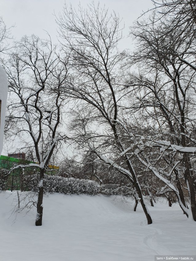 Снегогоры в Екатеринбурге (продолжение)