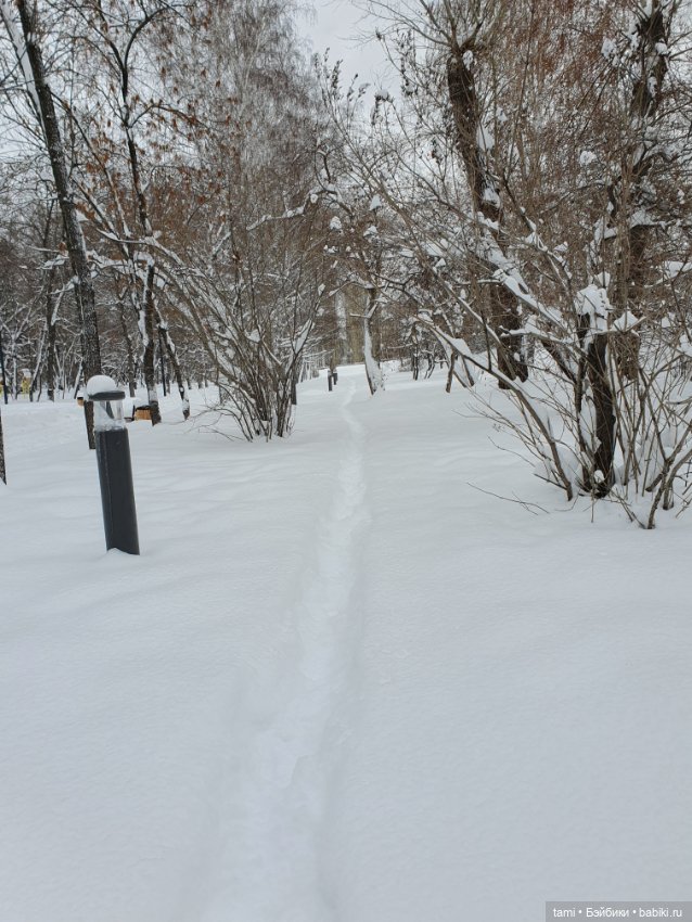 Снегогоры в Екатеринбурге (продолжение)