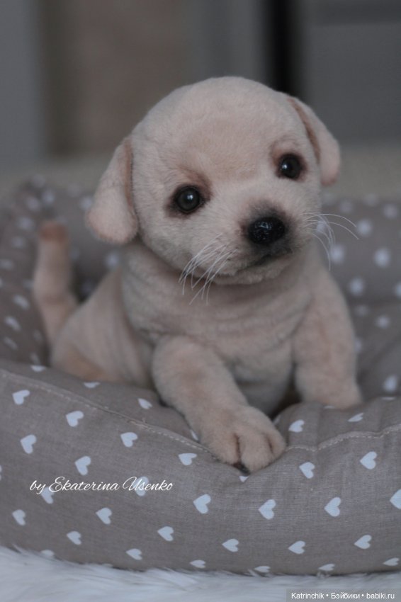 Щенок лабрадора — Авторские мишки Тедди и друзья: фото (фото 2)