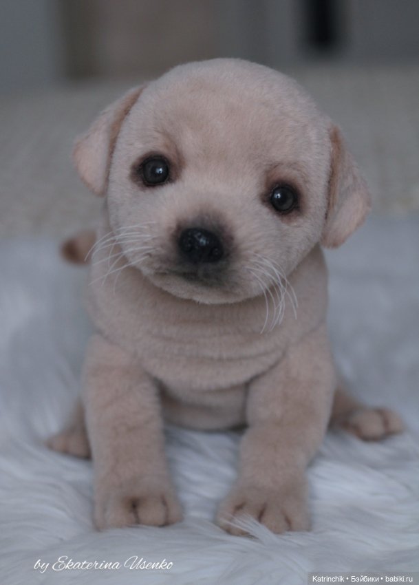 Щенок лабрадора — Авторские мишки Тедди и друзья: фото