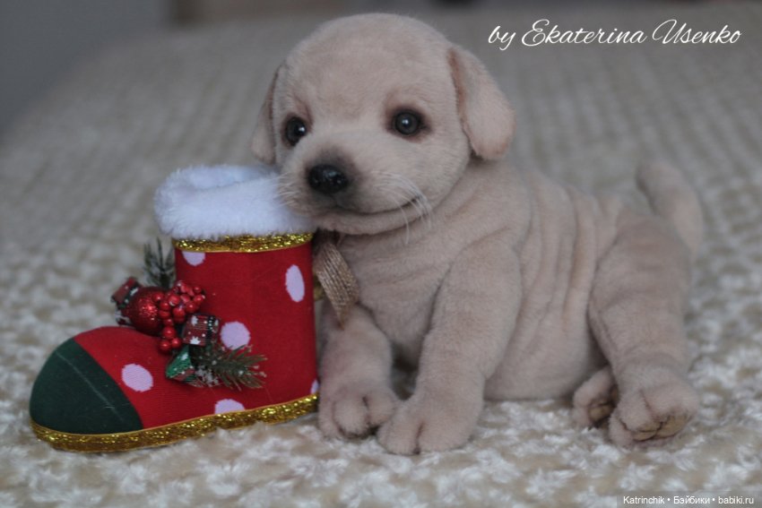 Щенок лабрадора — Авторские мишки Тедди и друзья: фото