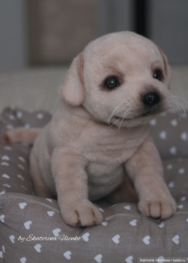 Щенок лабрадора — Авторские мишки Тедди и друзья: фото