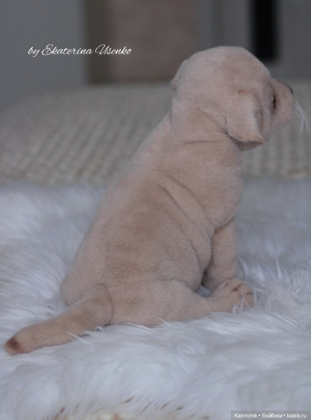 Щенок лабрадора — Авторские мишки Тедди и друзья: фото (фото 10)