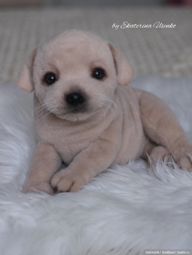 Щенок лабрадора — Авторские мишки Тедди и друзья: фото (фото 7)