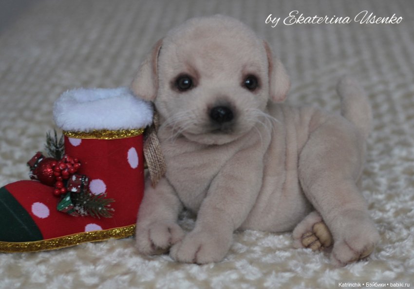 Щенок лабрадора — Авторские мишки Тедди и друзья: фото